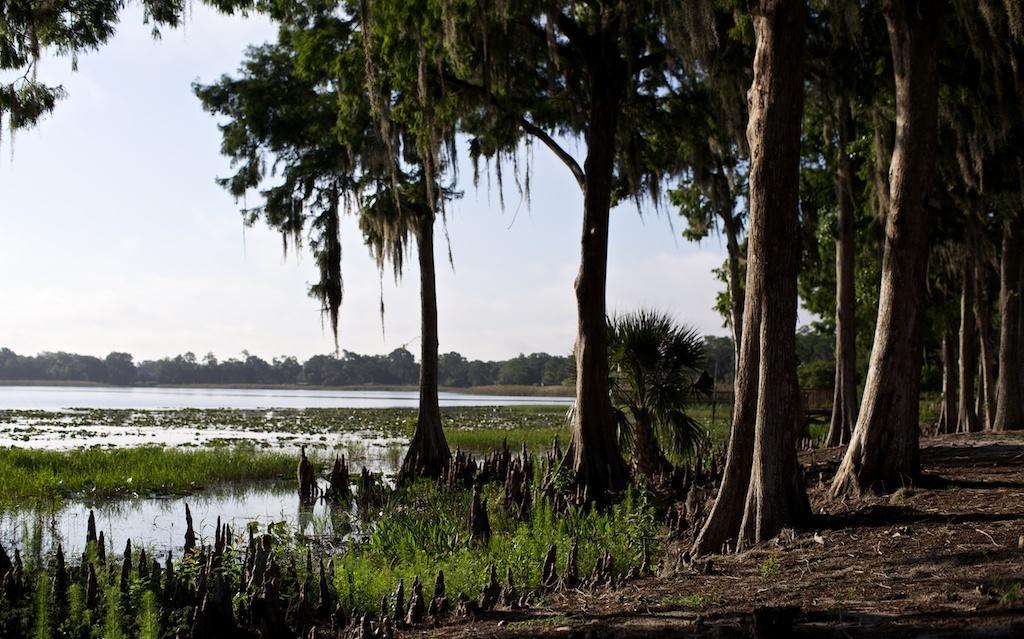 Star Island Resort And Club - Near Disney Kissimmee Exteriör bild